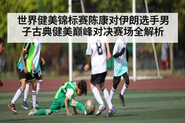 世界健美锦标赛陈康对伊朗选手男子古典健美巅峰对决赛场全解析